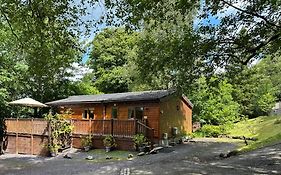 Owls House - Lodge With Hot Tub- Lake District